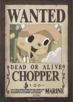 Portfolio 9 Posters Wanted Luffy's Crew Wano 21x29,7 - One Piece - ABYstyle – Image 7