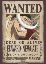 Set 2 Posters Chibi 52x38 Wanted Roger & Whitebeard - One Piece - ABYstyle – Image 2