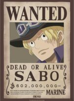 Set 2 Posters Chibi 52x38 Wanted Sabo & Ace - One Piece - ABYstyle – Image 3
