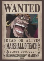 Set 2 Posters Chibi 52x38 Wanted Shanks & Blackbeard - One Piece - ABYstyle – Image 3