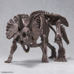 Triceratops 1/32 - Imaginary Skeleton - Bandai – Image 6
