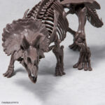 Triceratops 1/32 - Imaginary Skeleton - Bandai – Image 7
