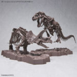 Triceratops 1/32 - Imaginary Skeleton - Bandai – Image 8