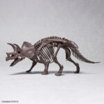 Triceratops 1/32 - Imaginary Skeleton - Bandai – Image 9