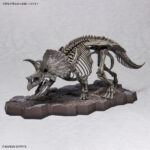 Triceratops 1/32 - Imaginary Skeleton - Bandai – Image 10